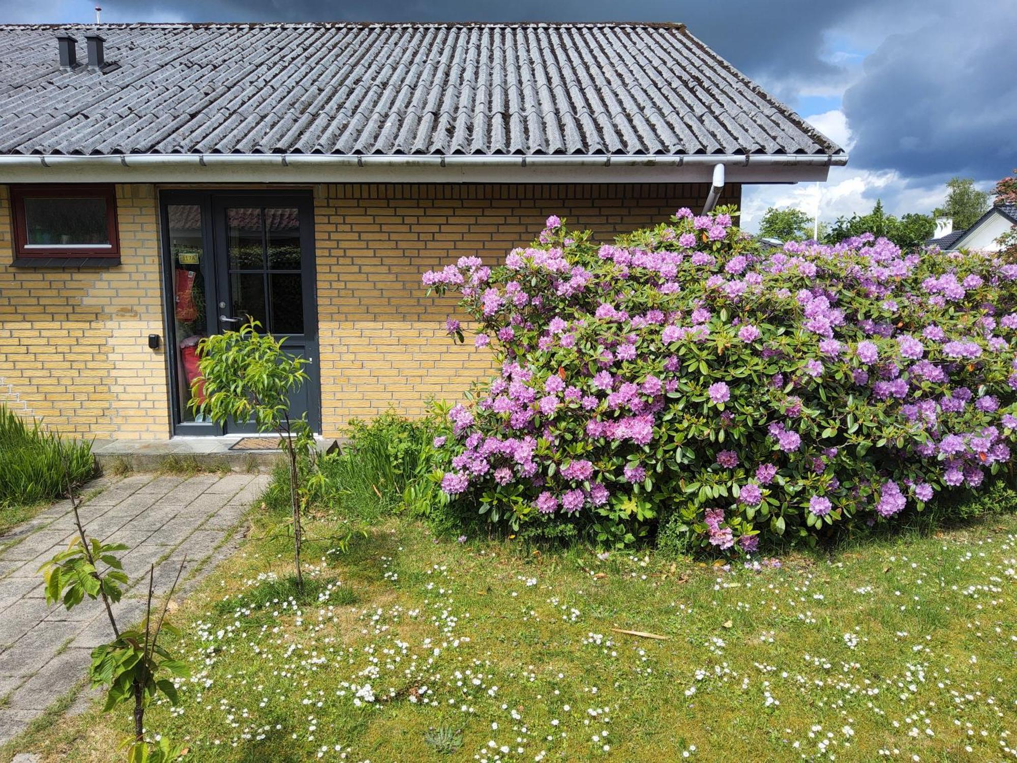 Family Friendly Apt B, 900M To Lego House, Parking, Legoland, Lalandia Billund Eksteriør billede